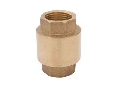 Schloesser JS Rueckschlagventil, SYSTEM YORK MIT FEDER,2", ESSING