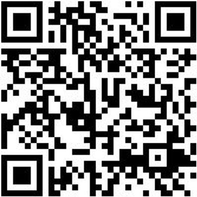 Bohrer Spezial Holz Bo-Fl-Ho-L150Mm-D6Mm