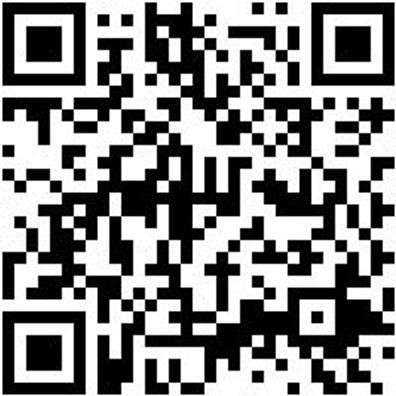 Bohrer Spezial Holz Bo-Fl-Ho-L150Mm-D14Mm