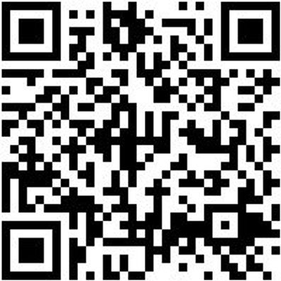 Bohrer Spezial Holz Bo-Fl-Ho-L150Mm-D25Mm