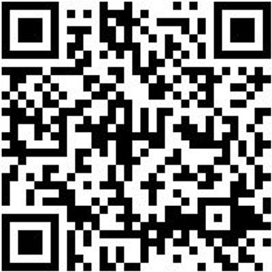 Bohrer Spezial Holz Bo-Fl-Ho-L150Mm-D30Mm