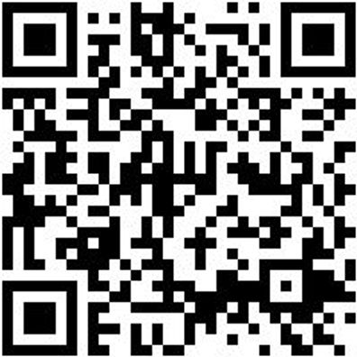 Bohrer Spezial Holz Bo-Fl-Ho-L150Mm-D40Mm