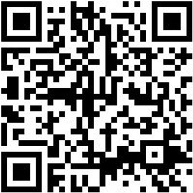 Bohrer Spezial Holz Bo-Fl-Ho-L400Mm-D18Mm