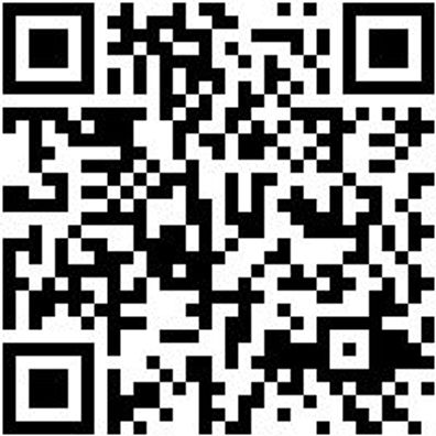 Bohrer Spezial Holz Bo-Fl-Ho-L150Mm-D8Mm