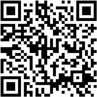 Bohrer Spezial Holz Bo-Fl-Ho-L150Mm-D10Mm