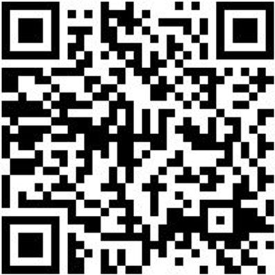 Bohrer Spezial Holz Bo-Fl-Ho-L150Mm-D12Mm