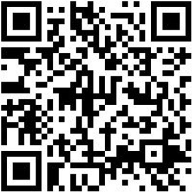 Bohrer Spezial Holz Bo-Fl-Ho-L150Mm-D16Mm