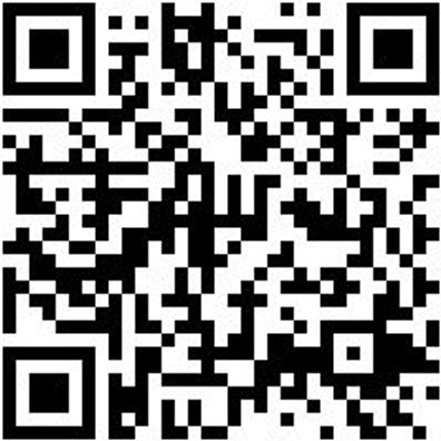 Bohrer Spezial Holz Bo-Fl-Ho-L150Mm-D20Mm