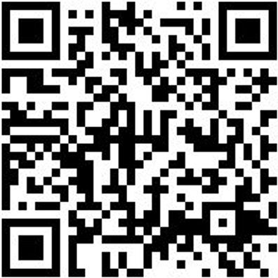 Bohrer Spezial Holz Bo-Fl-Ho-L150Mm-D22Mm