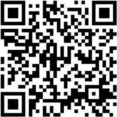 Bohrer Spezial Holz Bo-Fl-Ho-L150Mm-D32Mm