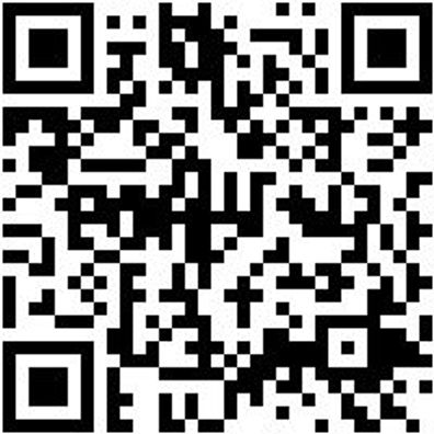 Bohrer Spezial Holz Bo-Fl-Ho-L150Mm-D35Mm