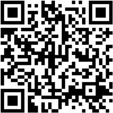 Bohrer Spezial Holz Bo-Fl-Ho-L400Mm-D16Mm