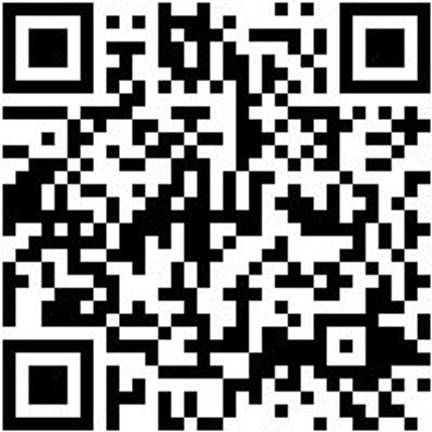 Bohrer Spezial Holz Bo-Fl-Ho-L400Mm-D20Mm