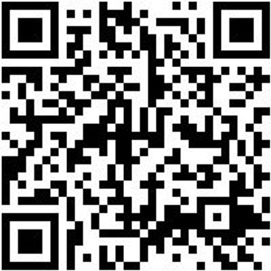 Bohrer Spezial Holz Bo-Fl-Ho-L400Mm-D22Mm