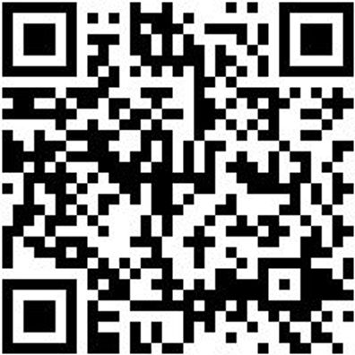 Bohrer Spezial Holz Bo-Fl-Ho-L400Mm-D30Mm