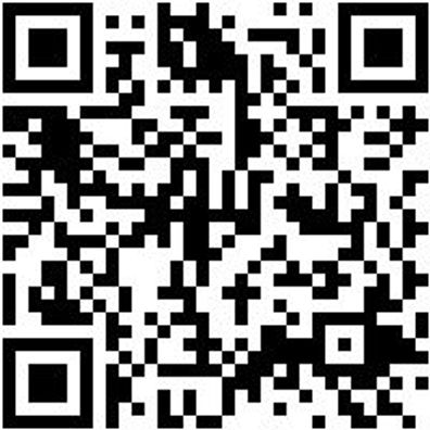 Bohrer Spezial Holz Bo-Fl-Ho-L400Mm-D35Mm