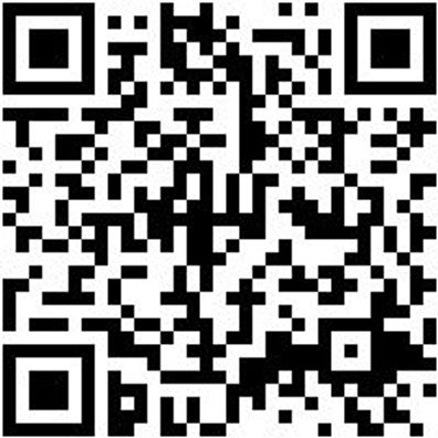 Bohrer Spezial Holz Bo-Fl-Ho-L400Mm-D26Mm