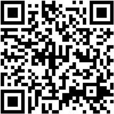 Bohrer Spezial Holz Bo-Fl-Ho-L150Mm-D26Mm