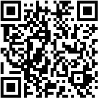 Demontagewerkzeug Bohrer Austreib-Bo-Mk4