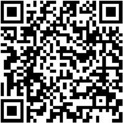 Dichtungsauszieher Diauszi-B85Xl315Mm