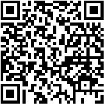 Dichtungsringentferner-Werkzeug Wzg-Dirgentf-Gerade-L240Mm