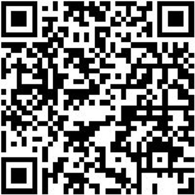 Dichtungsringentferner-Werkzeug Wzg-Dirgentf-Haken-L165Mm-Mini