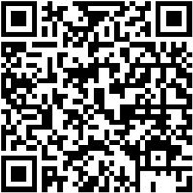 Dichtungsringentferner-Werkzeug Wzg-Dirgentf-Gekroepft-L165Mm-Mini