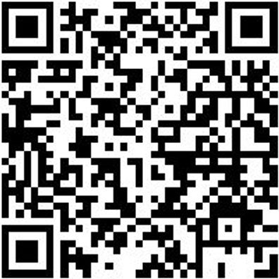 Dichtungsringentferner-Werkzeug Wzg-Dirgentf-Haken-L240Mm