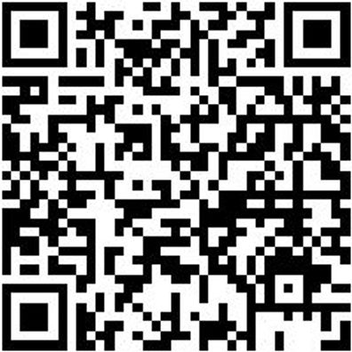 Dichtungsringentferner-Werkzeug Wzg-Dirgentf-Gekröpft-L240Mm