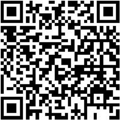 Dichtungsringentferner-Werkzeug Wzg-Dirgentf-Gerade-L165Mm-Mini