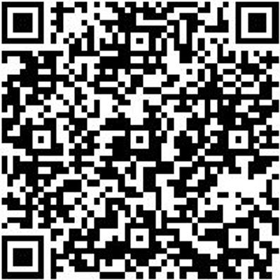 Entriegelungswerkzeug Sortiment/Set Entriglwzg-Sysko-Uni-Pkw-Sort-16Tlg