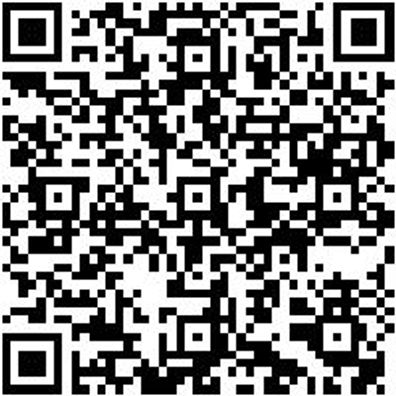 Entriegelungswerkzeug Sortiment/Set Entriglwzg-Sysko-Pkw-Basis-Sort-8Tlg