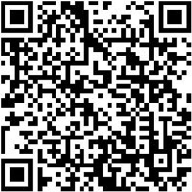 Entriegelungswerkzeug S-Tronic Stecker Entriglwzg-(S-Tronic)-Ste