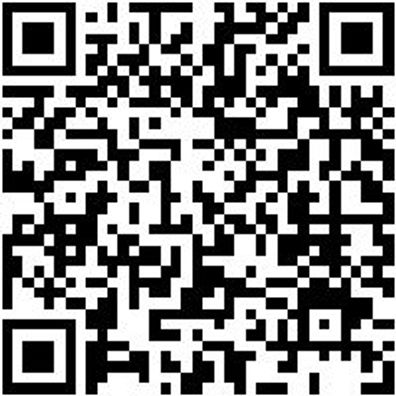 Federbeinspanner Pneumat Federspanner Maximus 1200Eco