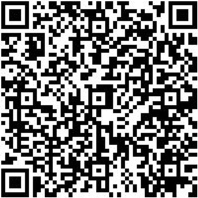 Federbeinspanner Pneumatischer Federspanner Maximus 3000