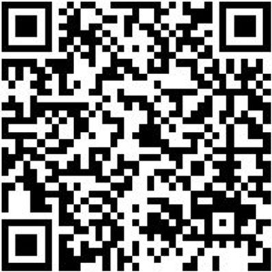 Federbeinspanner Sortiment/Set Fedbeinspn-Mntg-Set-Fedback-2Tlg