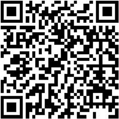 Feilenheft Feilheft-Shrb-F. Nadelfeil