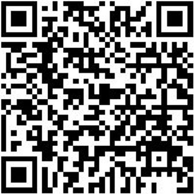 Flachschaber Flschab-Gr10