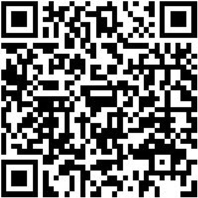 Hammerbohrer Max Bo-Ham-Max-Quadro-S-4Sprl-D12/690/550