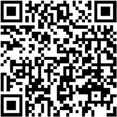 Hammerbohrer Max Bo-Ham-Max-Quadro-S-4Sprl-D15/340/200