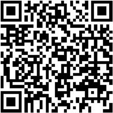 Hammerbohrer Max Bo-Ham-Max-Quadro-S-4Sprl-D24/520/400