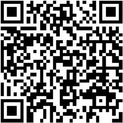 Hammerbohrer Max Bo-Ham-Max-Quadro-S-4Sprl-D25/520/400