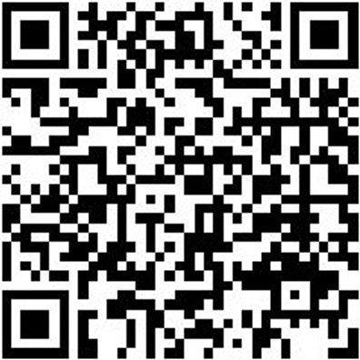 Hammerbohrer Max Bo-Ham-Max-Quadro-S-4Sprl-D28/370/250