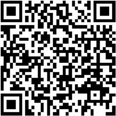 Hammerbohrer Max Bo-Ham-Max-Quadro-S-4Sprl-D30/570/450