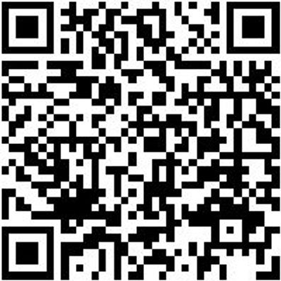 Hammerbohrer Max Bo-Ham-Max-Quadro-S-4Sprl-D32/370/250