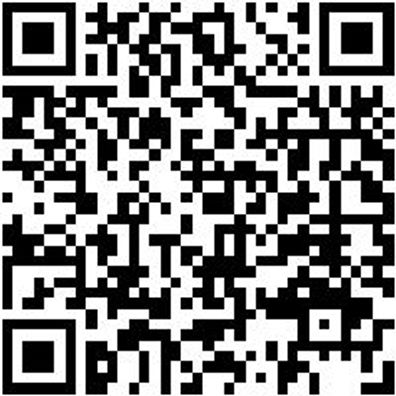 Hammerbohrer Max Bo-Ham-Max-Quadro-S-4Sprl-D32/570/450