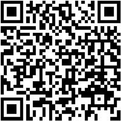 Hammerbohrer Max Bo-Ham-Max-Quadro-S-4Sprl-D35/370/250