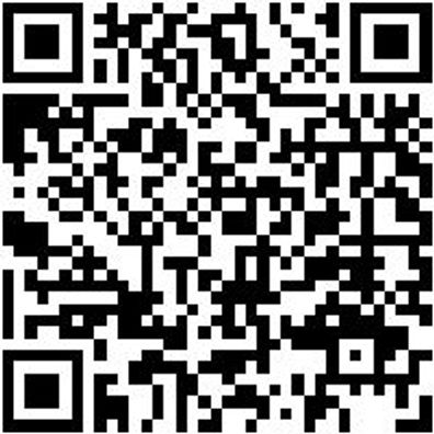 Hammerbohrer Max Bo-Ham-Max-Quadro-S-4Sprl-D35/570/450