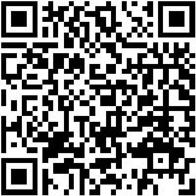 Hammerbohrer Max Bo-Ham-Max-Quadro-S-4Sprl-D35/670/550