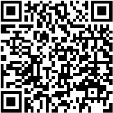 Hammerbohrer Max Bo-Ham-Max-Quadro-S-4Sprl-D38/370/250